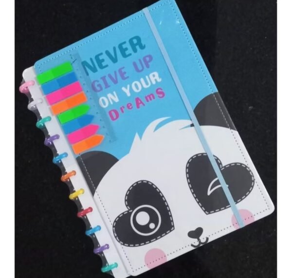 Caderno de Disco - Imagem 2